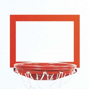 Picture of Bison Replacement Backboard Shooters Square