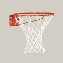 Picture of Bison Economy Basketball Goal