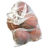 Picture of Champro Mesh Ball/Laundry Bag