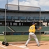 Picture of BSN Replacement Net for Professional Base Fungo Screens