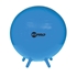 Picture of Champion Sports Fitpro Ball With Stability Legs