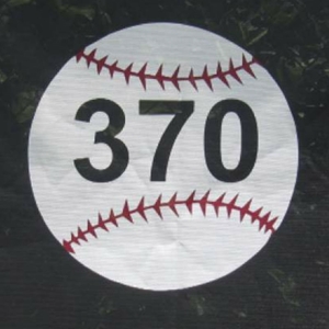 Picture of BSN Outfield Distance Markers White Baseball w/ Horizontal Numbers (3'D)
