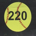 Picture of BSN Outfield Distance Markers Yellow Softball w/ Horizontal Numbers (3'D)