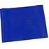 Picture of Champion Sports Therapy and Exercise Flat Band