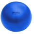Picture of Champion Sports Fitpro BRT Training & Exercise Ball