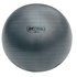 Picture of Champion Sports Fitpro BRT Training & Exercise Ball