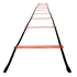 Picture of Champion Sports Rubber Agility Ladder