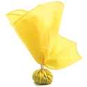 Picture of BSN Official's Penalty Flag