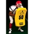 Picture of Fisher Curved Body Shield