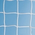 Picture of Gared Lacrosse Net