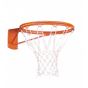 Picture of Porter Double Rim Playground Goal