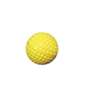 Picture of Practice Field Hockey Ball