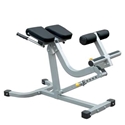Picture of Champion Barbell Back/Abdominal Exercise Bench