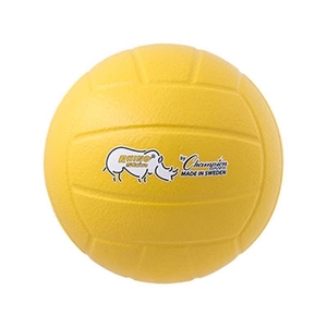 Picture of Champion Sports Rhino Skin Molded Foam Volleyball