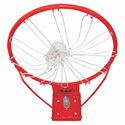 Picture of Markwort Basketball Ring With Net