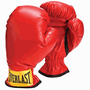 Picture of Everlast Youth Boxing Gloves