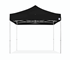 Picture of E-Z UP Endeavor Aluminum Canopy Shelter 13' x 13'