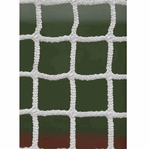 Picture of BSN Lacrosse 6mm Professional Net
