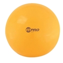 Picture of Champion Sports 75cm Fitpro Training/Exercise Ball
