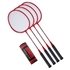 Picture of Champion Sports Tournament Series Volleyball/Badminton Set