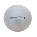 Picture of Champion Sports Pro Maxafe Training Exercise Ball - 53 CM