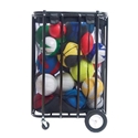 Picture of BSN Compact Ball Locker