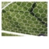 Picture of First Team Heavy Duty HTPP Hexagonal Soccer Nets