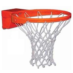 Picture of Gared Tournament Breakaway Basketball Goal with Nylon Net
