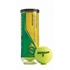 Picture of Dunlop Championship Hard Court Tennis Balls (3-Pack)