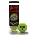 Picture of Penn Championship Tennis Balls (3/Can)