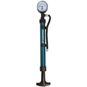 Picture of Champro 10" Dual Action Pump with Pressure Gauge
