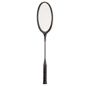 Picture of Champion Sports Molded ABS Badminton Racket