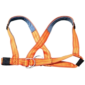 Picture of Fisher Harness with Metal Clip