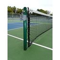 Picture of Bison Recreational Pickleball System