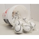 Picture of Markwort Weighted 9" White Baseballs with Ball Bucket