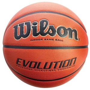 Picture of Wilson Evolution Official Basketball