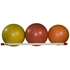 Picture of DuraCart Therapy Ball Wall Rack