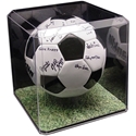 Picture of Markwort Clear Basketball/Soccer Display Black Base