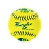 Picture of Dudley Thunder USSSA Slow Pitch Softball