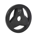 Picture of FIT 25 Lb Rubber Bumper Plate J-RBP25