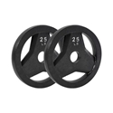 Picture of FIT 25 Lb Rubber Bumper Plate  Set 0f 2 J-RBP25SET