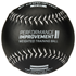 Picture of Champro 12" Weighted Training Softballs