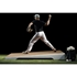 Picture of Pitch Pro Model 508 Batting Practice Platform