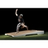 Picture of Pitch Pro Model 516 Bullpen Platform