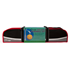 Picture of Champion Sports Deluxe Sports Tetherball Set