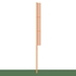 Picture of Jaypro Collegiate 30 ft Foul Poles Foul Poles