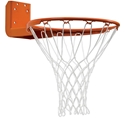 Picture of Porter Rear Mount Goal