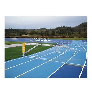Picture of Gill 3-Lane Track Gate w/Ground Sleeve