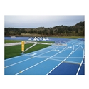 Picture of Gill 3-Lane Track Gate with Ground Sleeve
