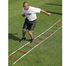 Picture of Gill Powermax Web Agility Ladder